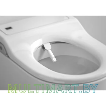 Унитаз Roca Inspira In-Wash A803061001 картинка 3